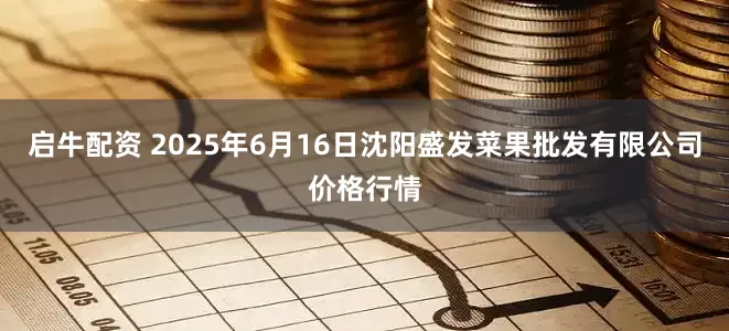 启牛配资 2025年6月16日沈阳盛发菜果批发有限公司价格行情