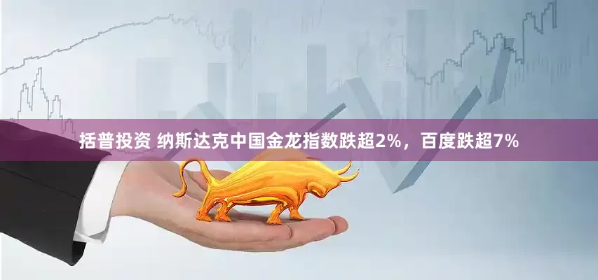 括普投资 纳斯达克中国金龙指数跌超2%，百度跌超7%